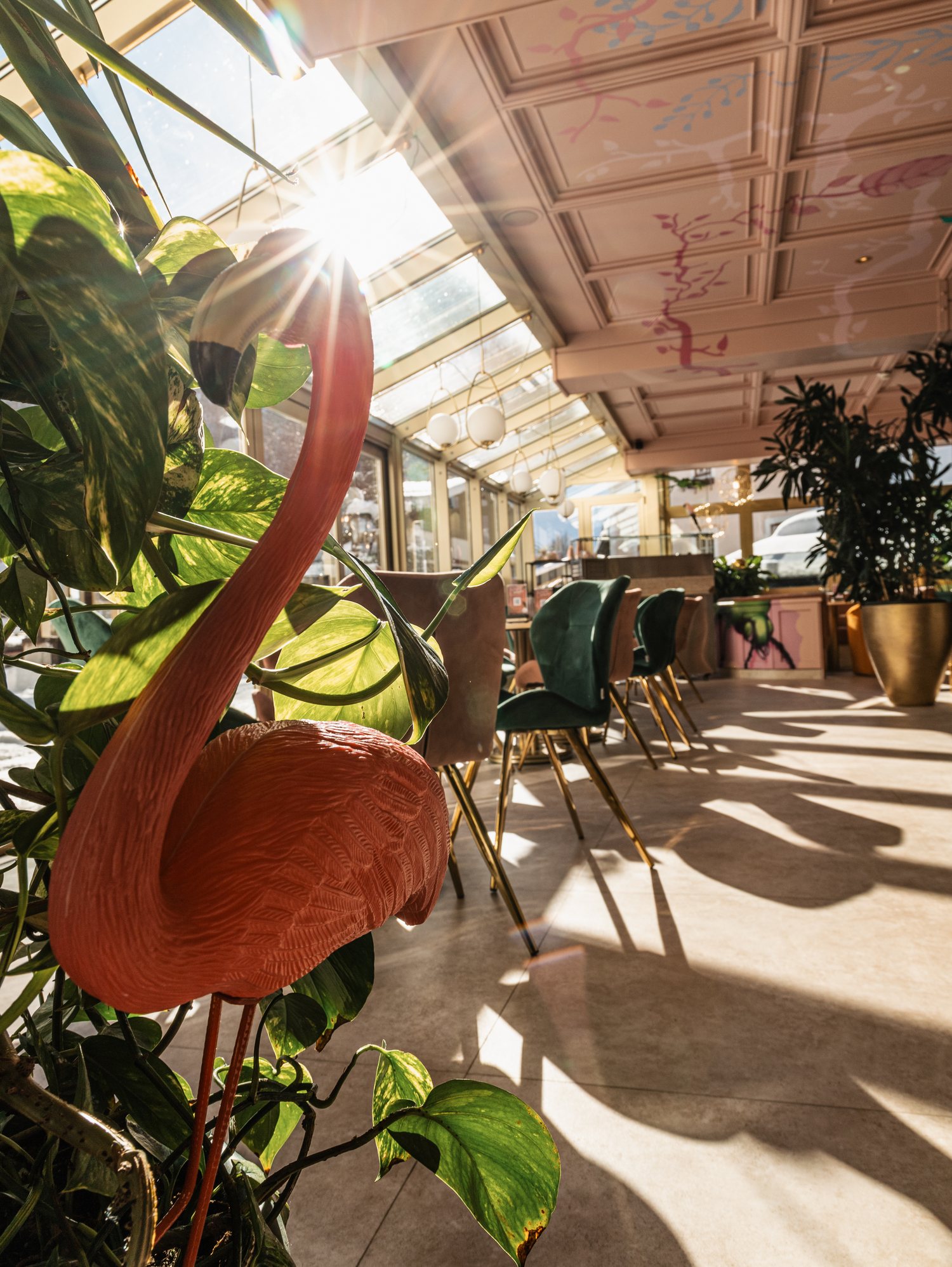 Wintergarten des Saalbacher Hofs, Flamingo zwischen Pflanzen im Gegenlicht