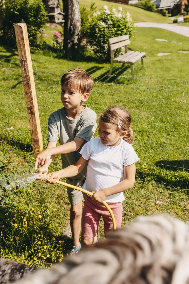 Kinder führen ein Alpaka über die Wiese