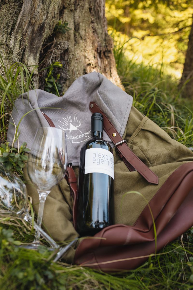 Rucksack mit Wein und Gläsern im Gras